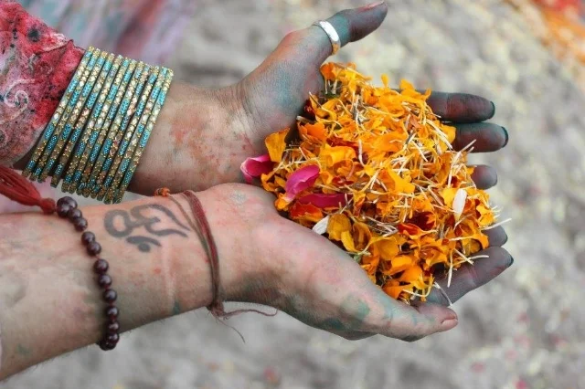flowerhandslandscape.jpg
