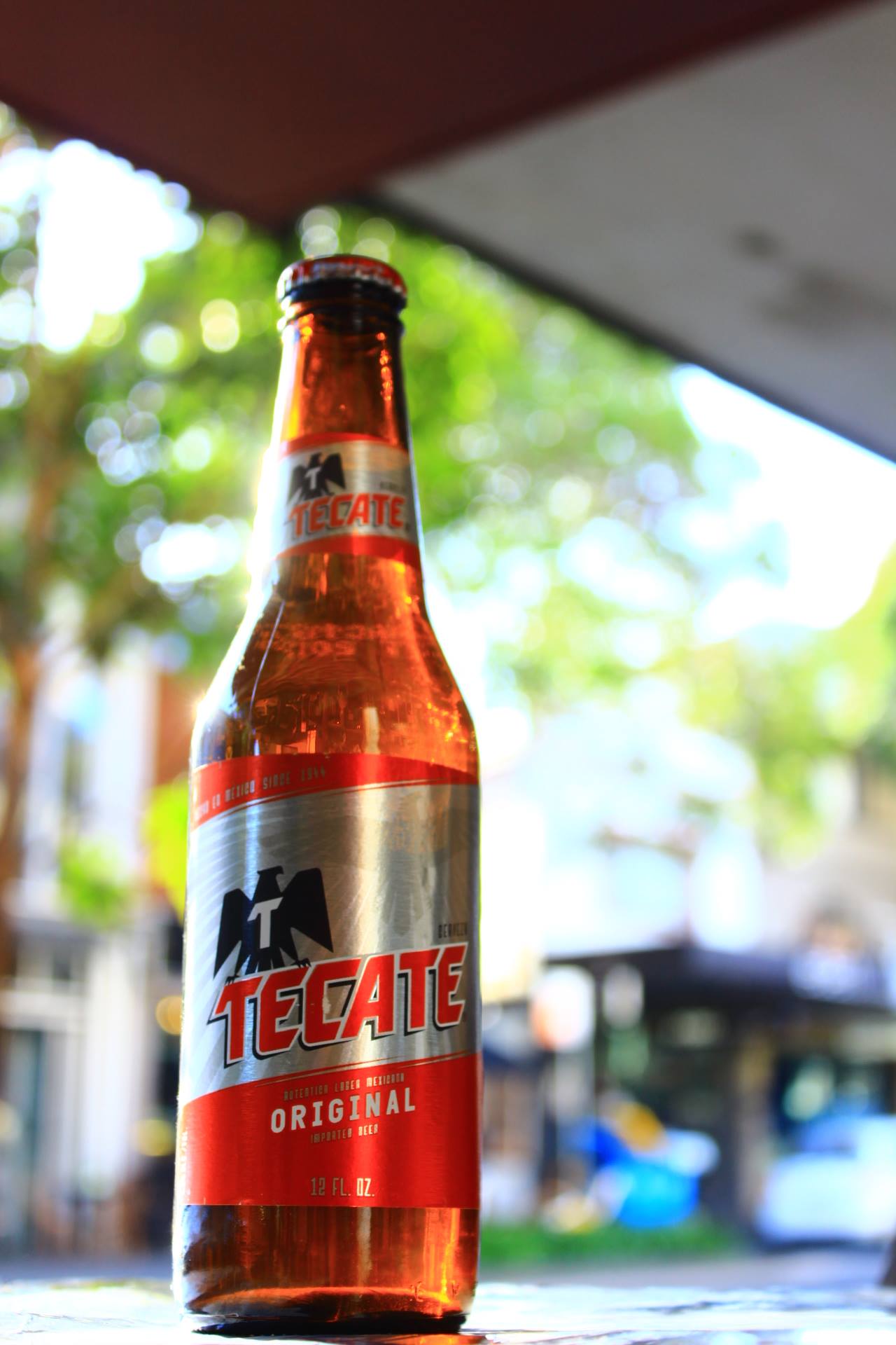 Tecate3.jpg