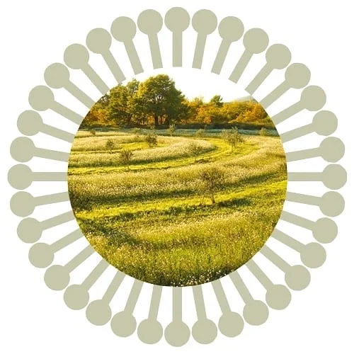 GS_Impg_rond_2_decor.jpg