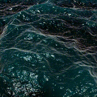 sea_01.gif