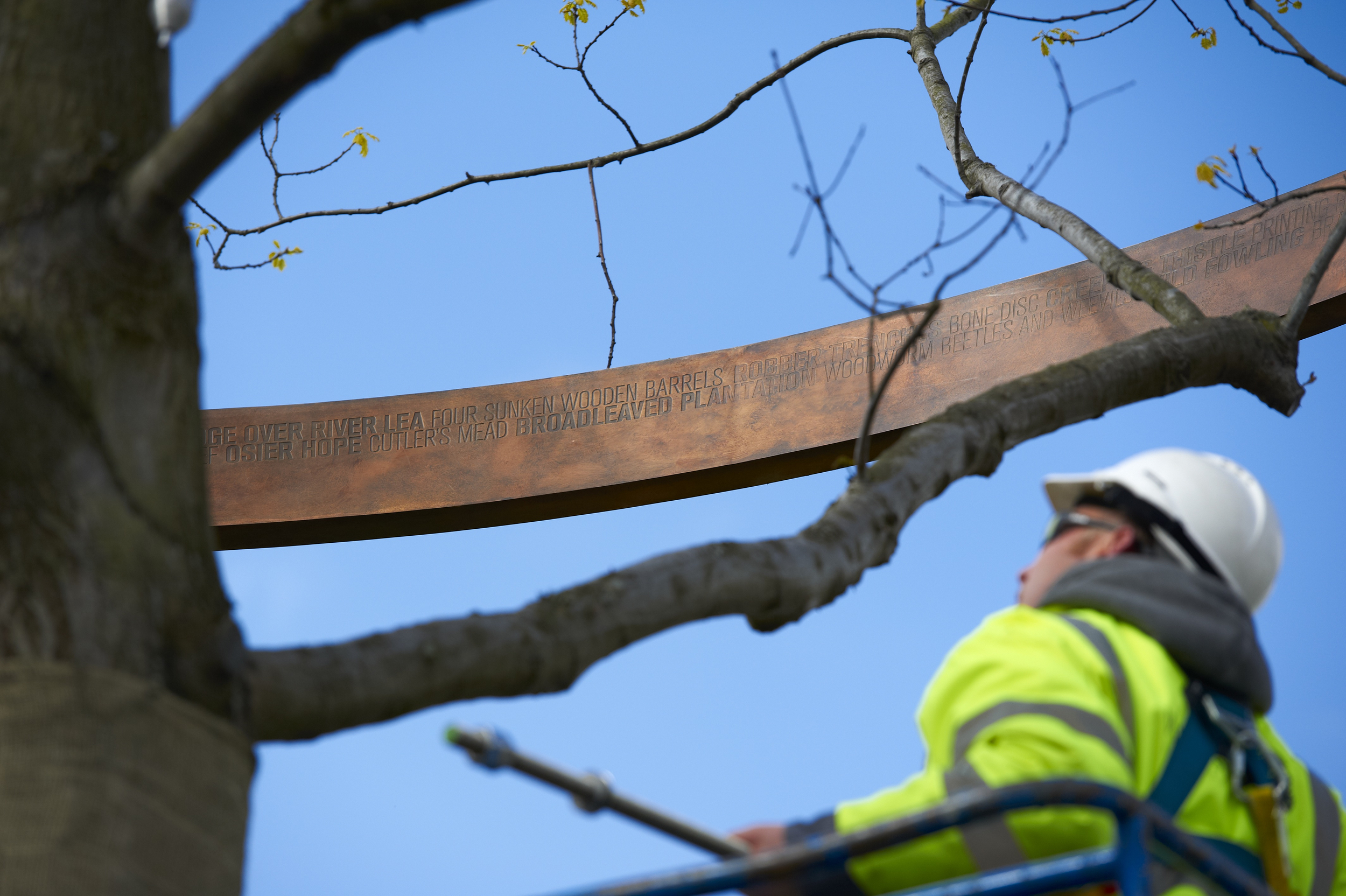 Image: Ackroyd & Harvey 'History Trees', Mapping the Park Olympic Commission, 2012