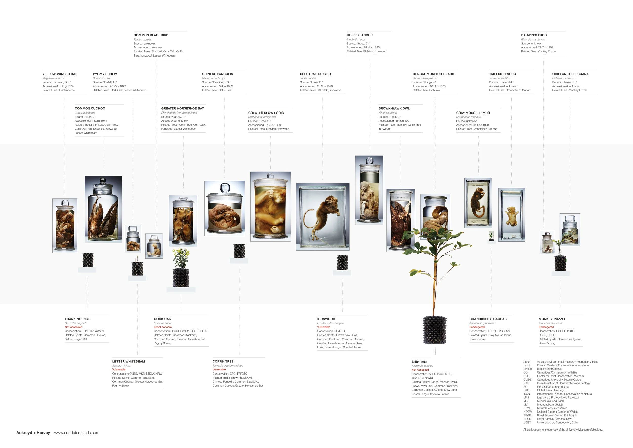 Ackroyd & Harvey, 'Conflicted Seeds + Spirit', David Attenborough Building, University of Cambridge, 2016