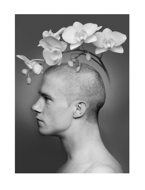 THE FEMINIZATION OF MAN