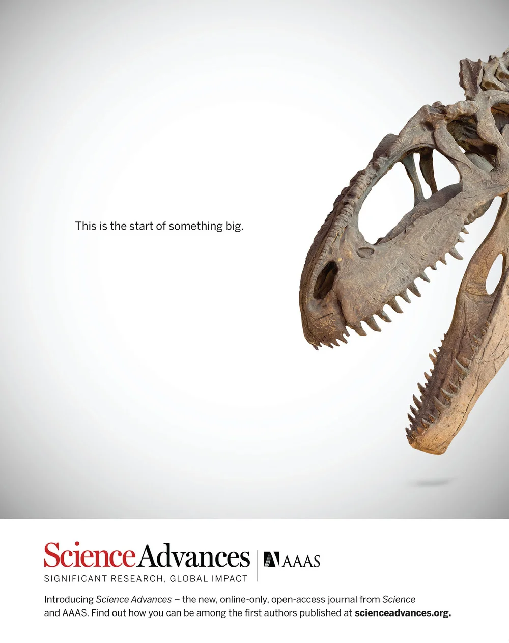 Print_ScienceAdvances_Dinosaur.jpg