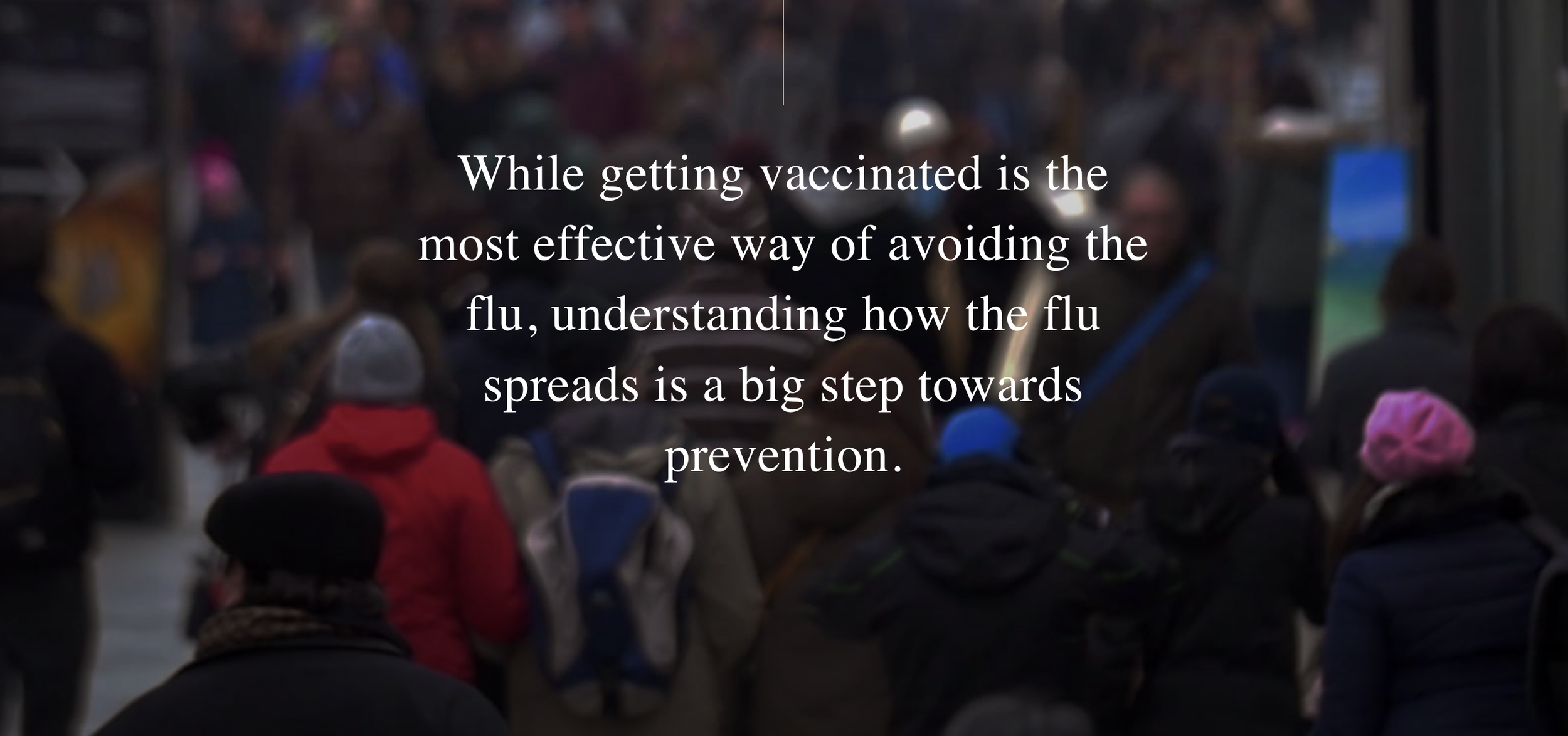 Screen Shot 2024-01-06 at 1.45.10 PM.png