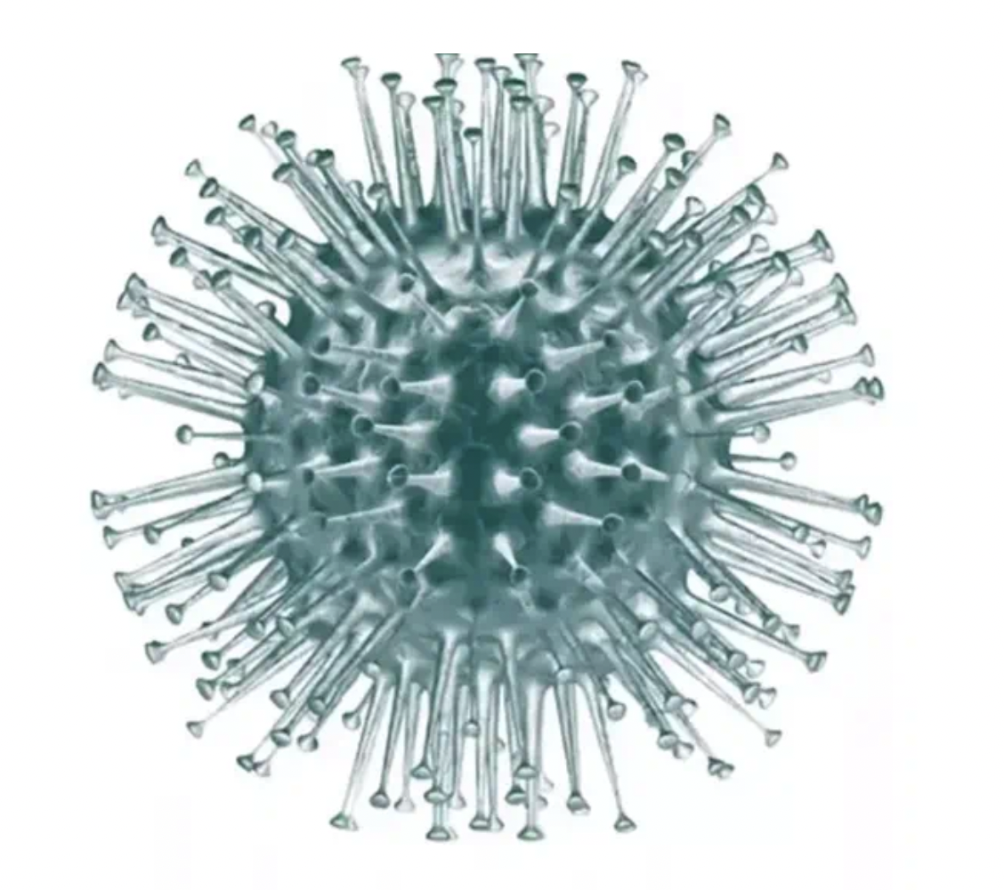 Screenshot 2024-03-20 at 11.00.12 AM.png