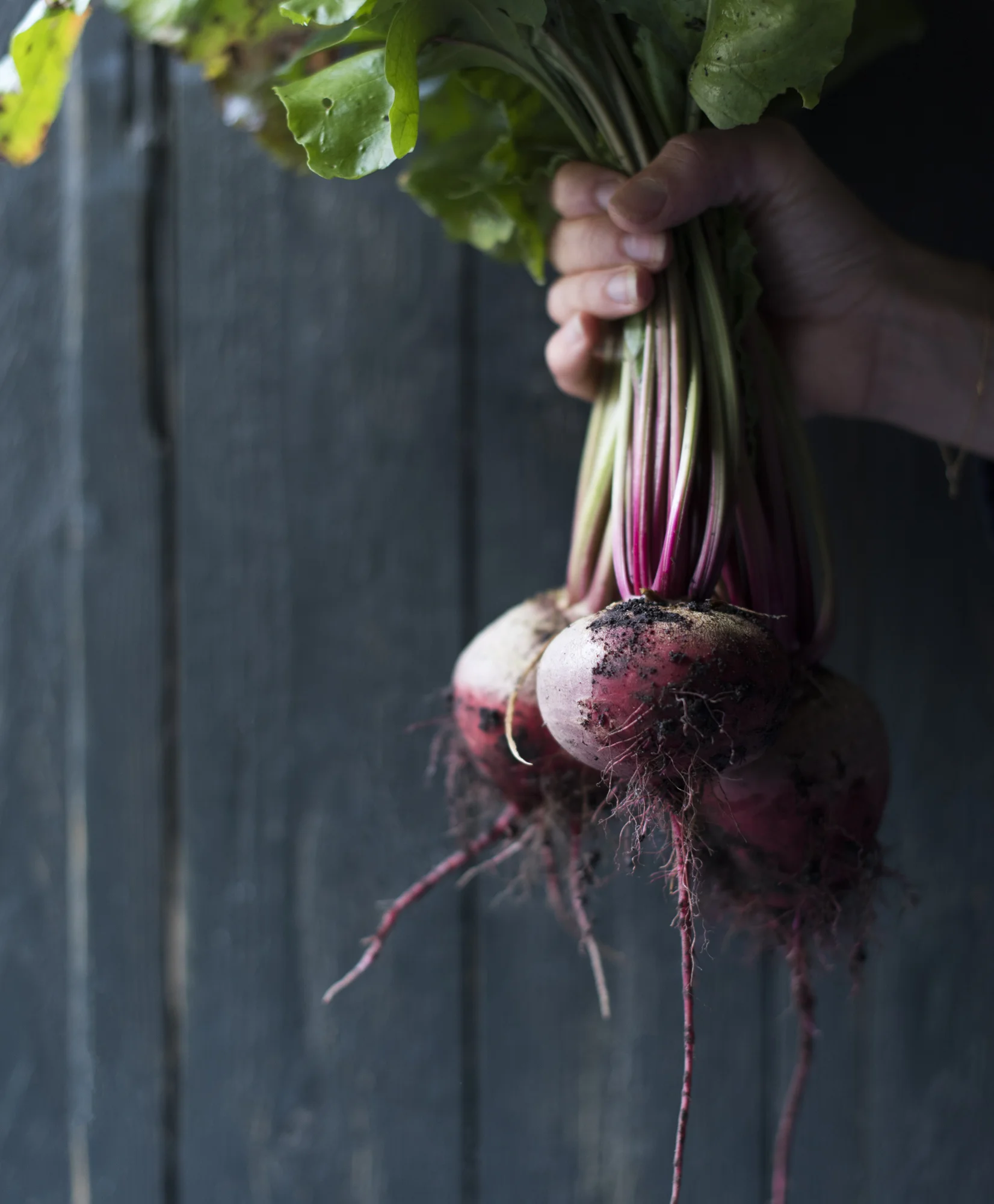 AmeliaMenu5_Incidental_Beetroot_20160926-0008-Edit.jpg