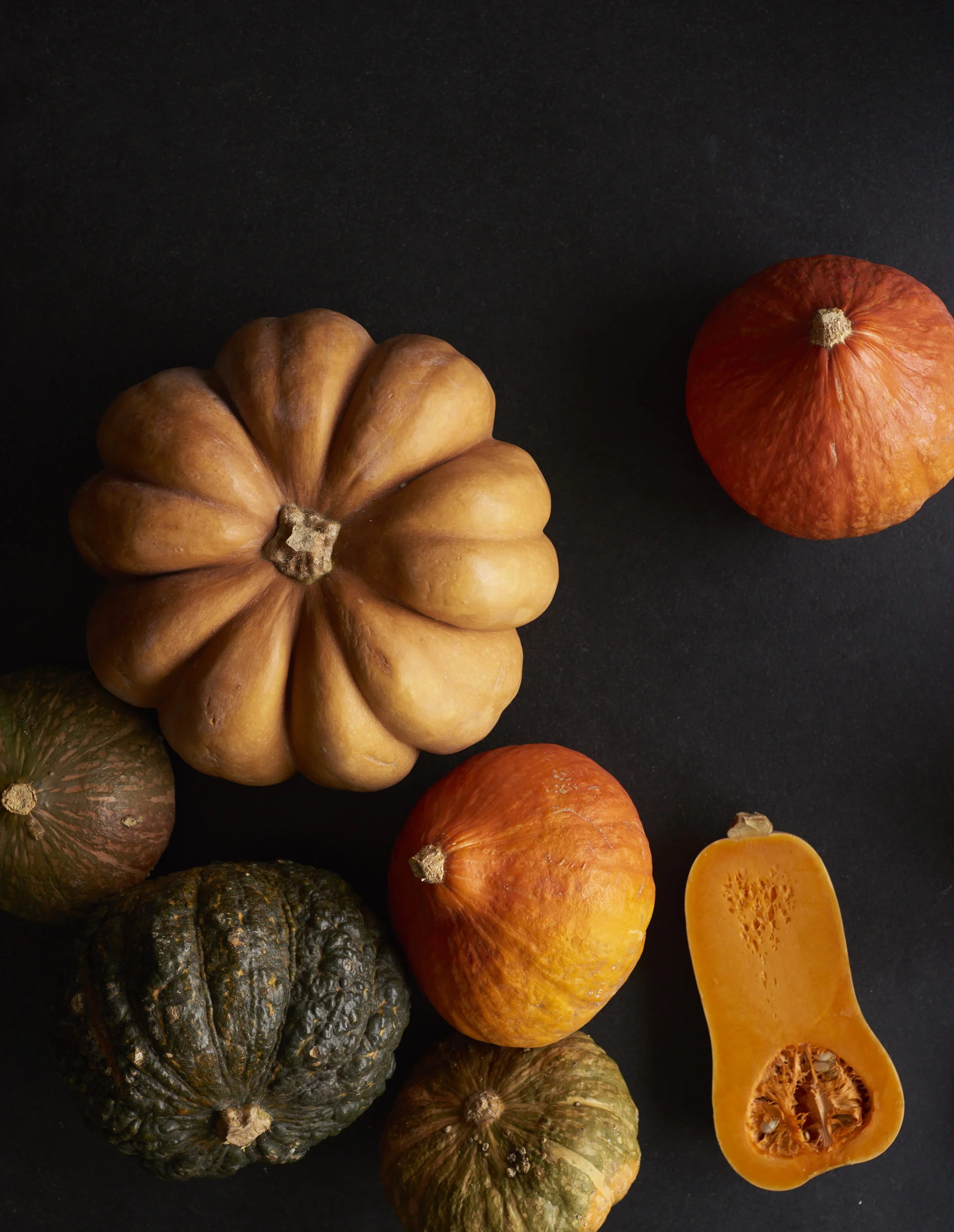 Pumpkin Opener_0758.jpg