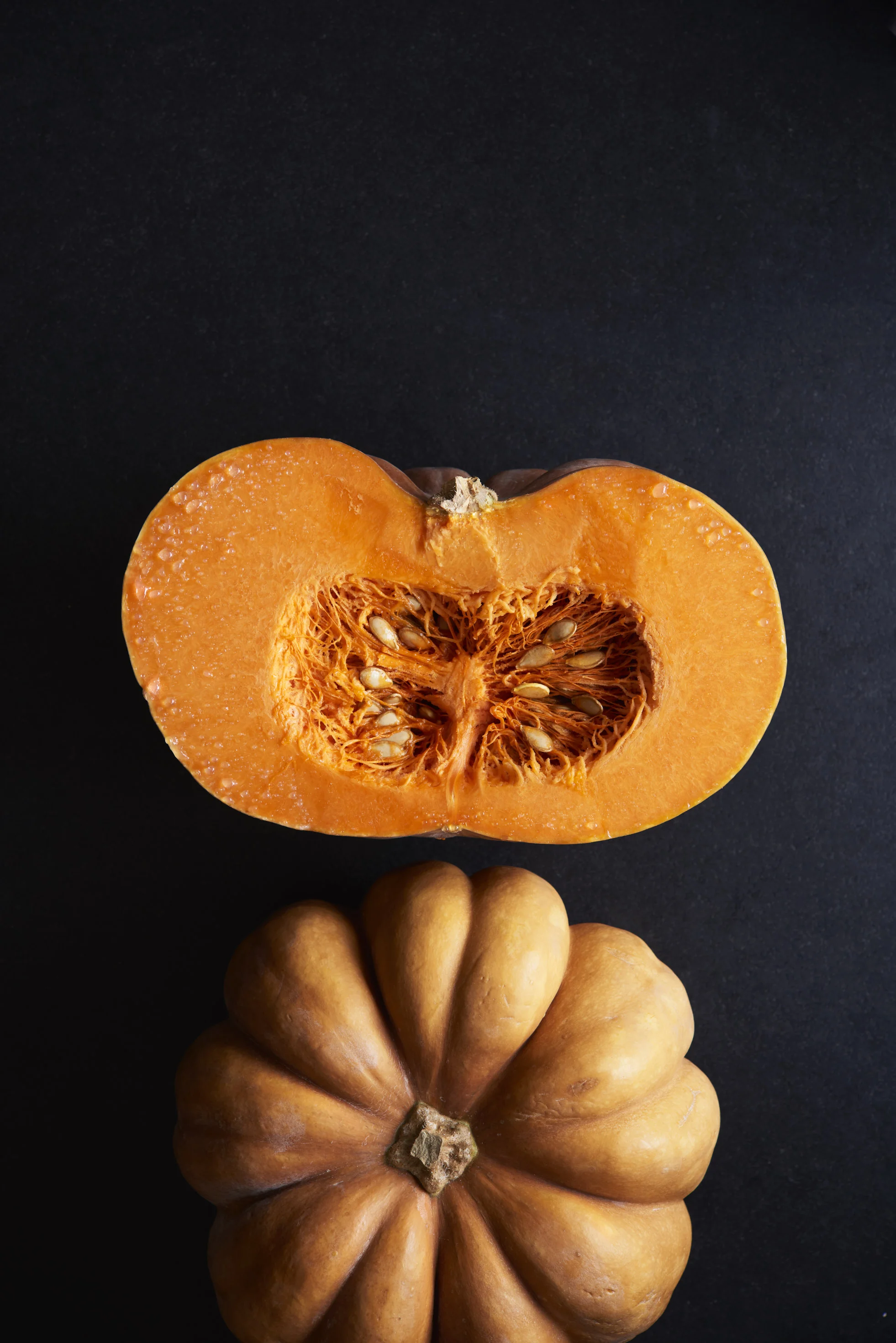 Pumpkin Opener_0770.jpg