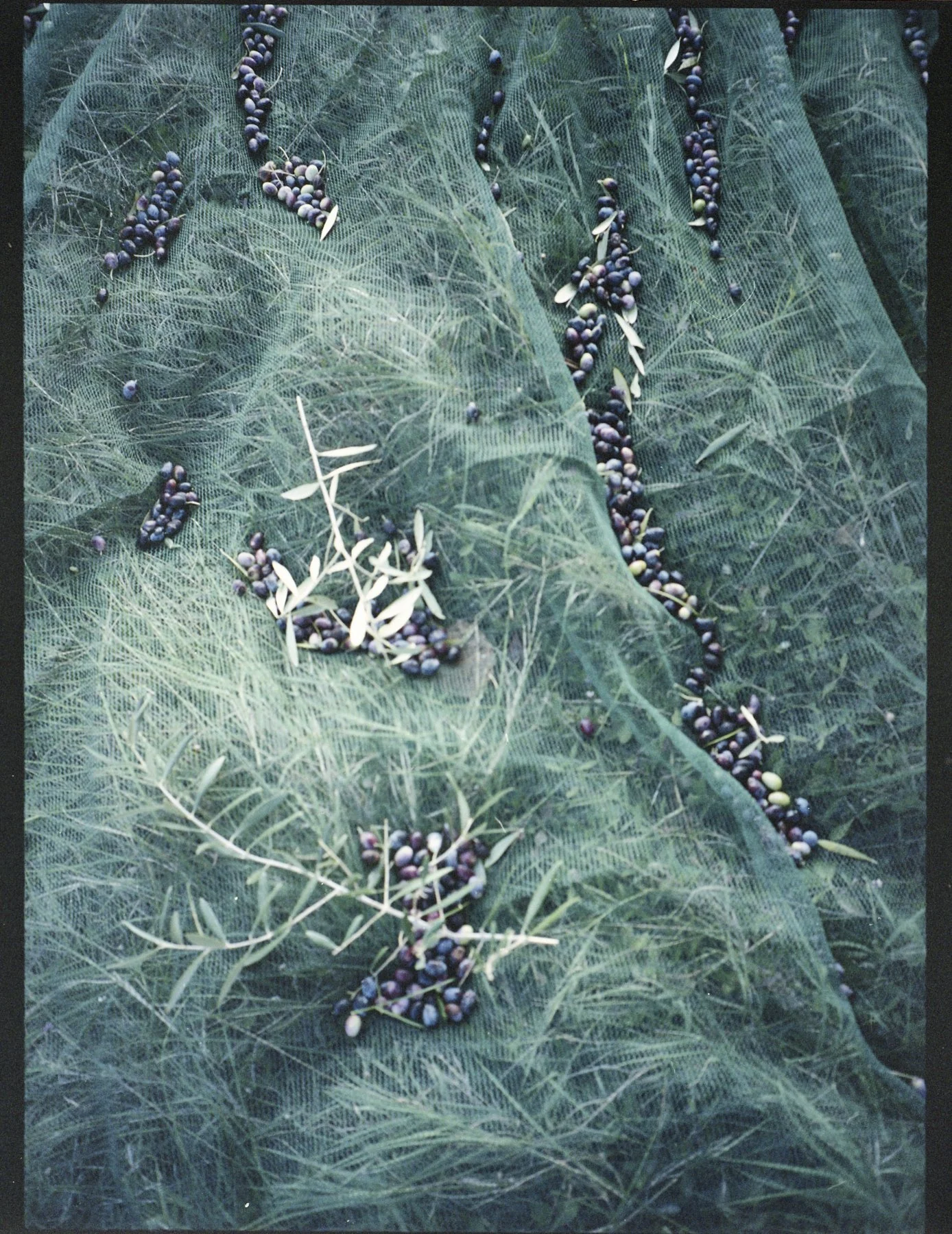 Rome_20251202_23 1.jpg