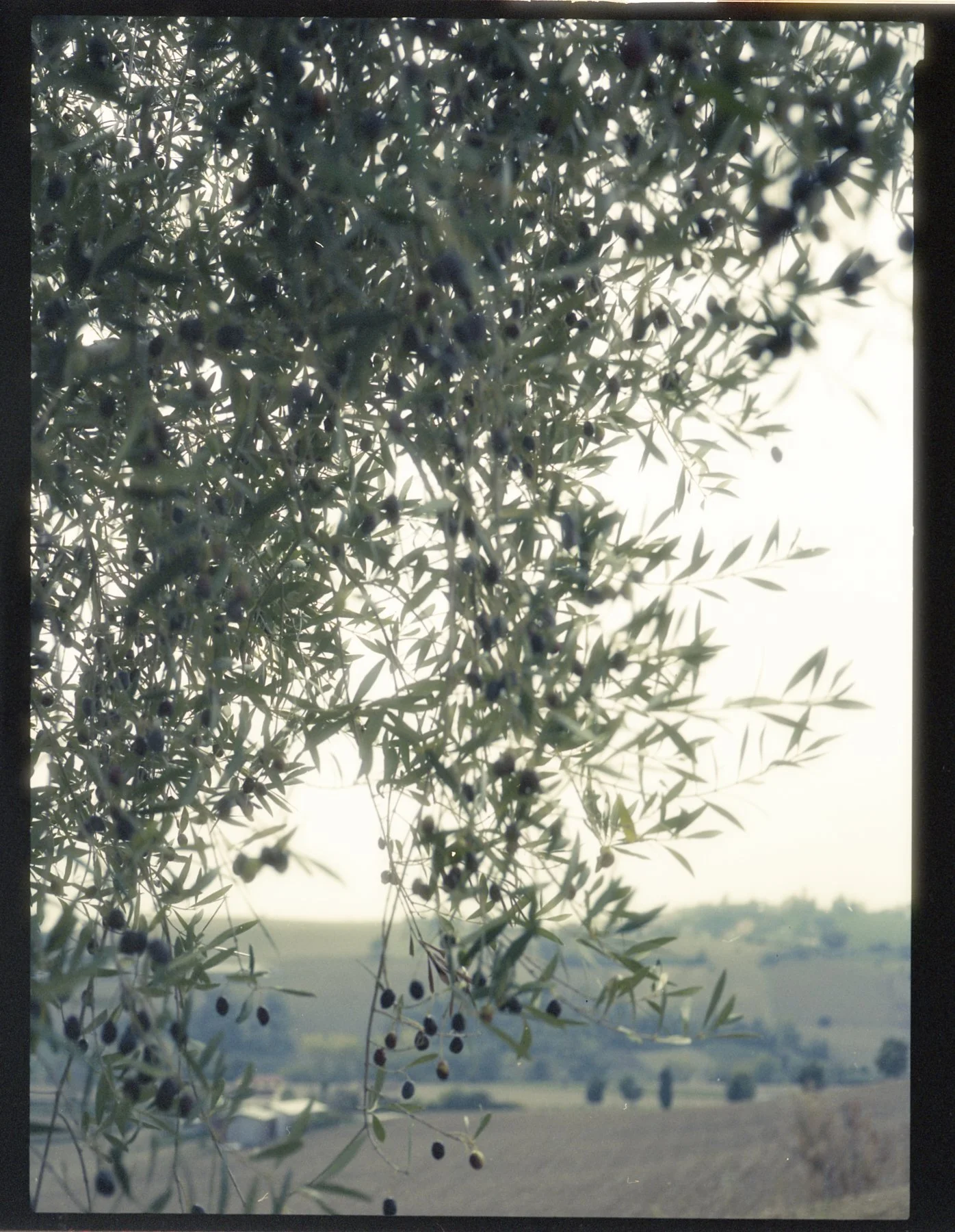 Rome_20251202_07 1.jpg