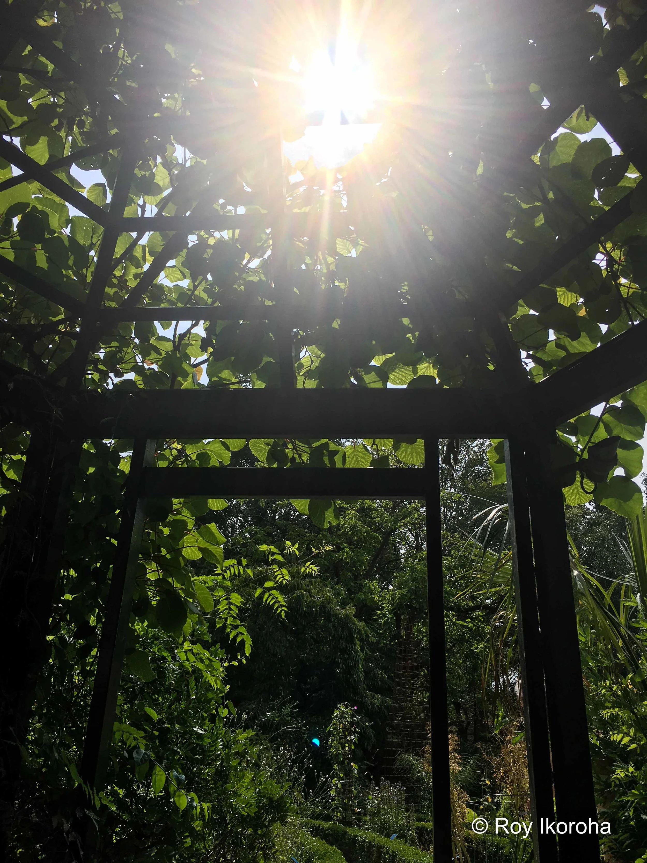 Hortus Botanicus, Amsterdam, Netherlands