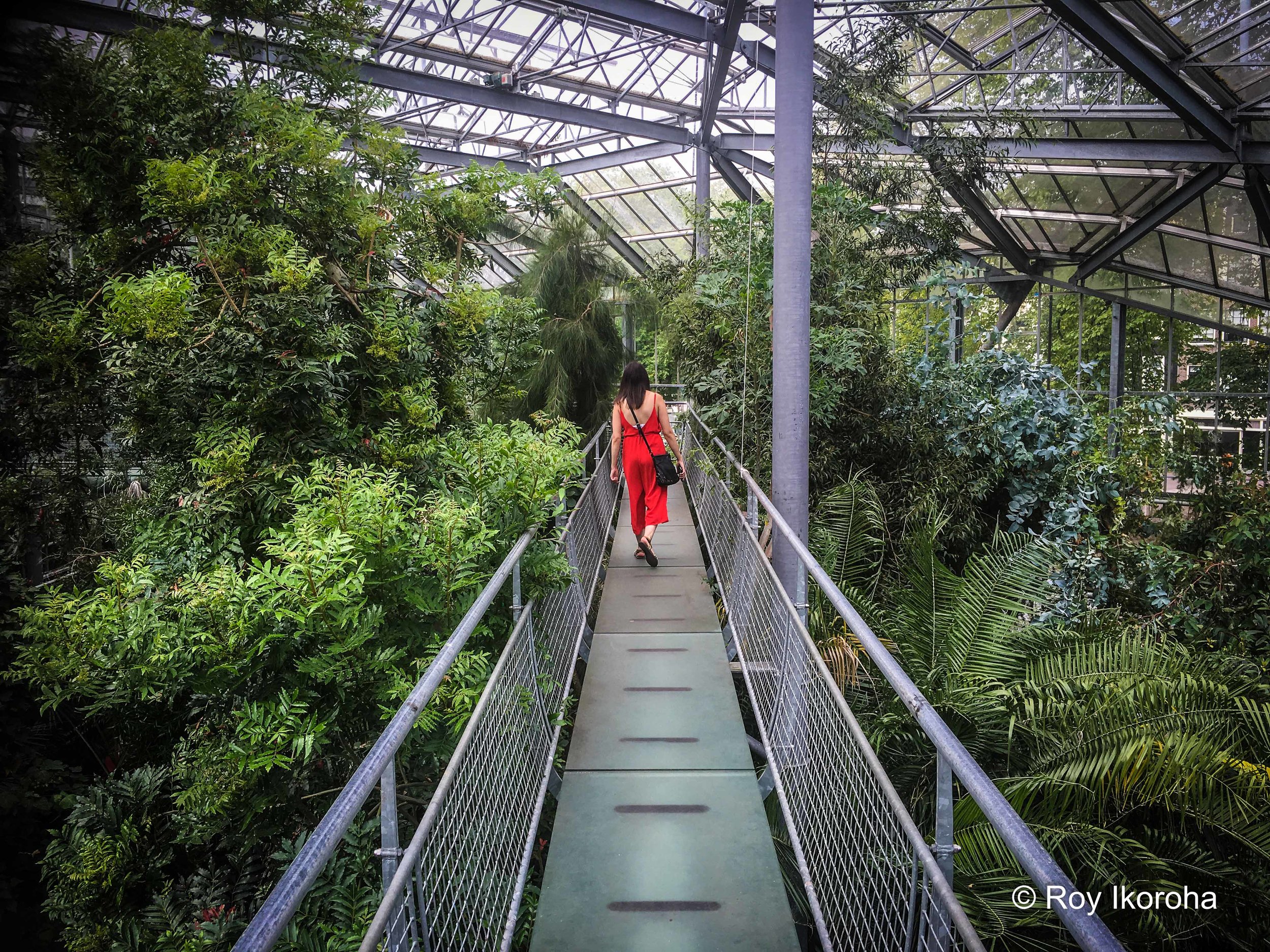 Hortus Botanicus, Amsterdam, Netherlands