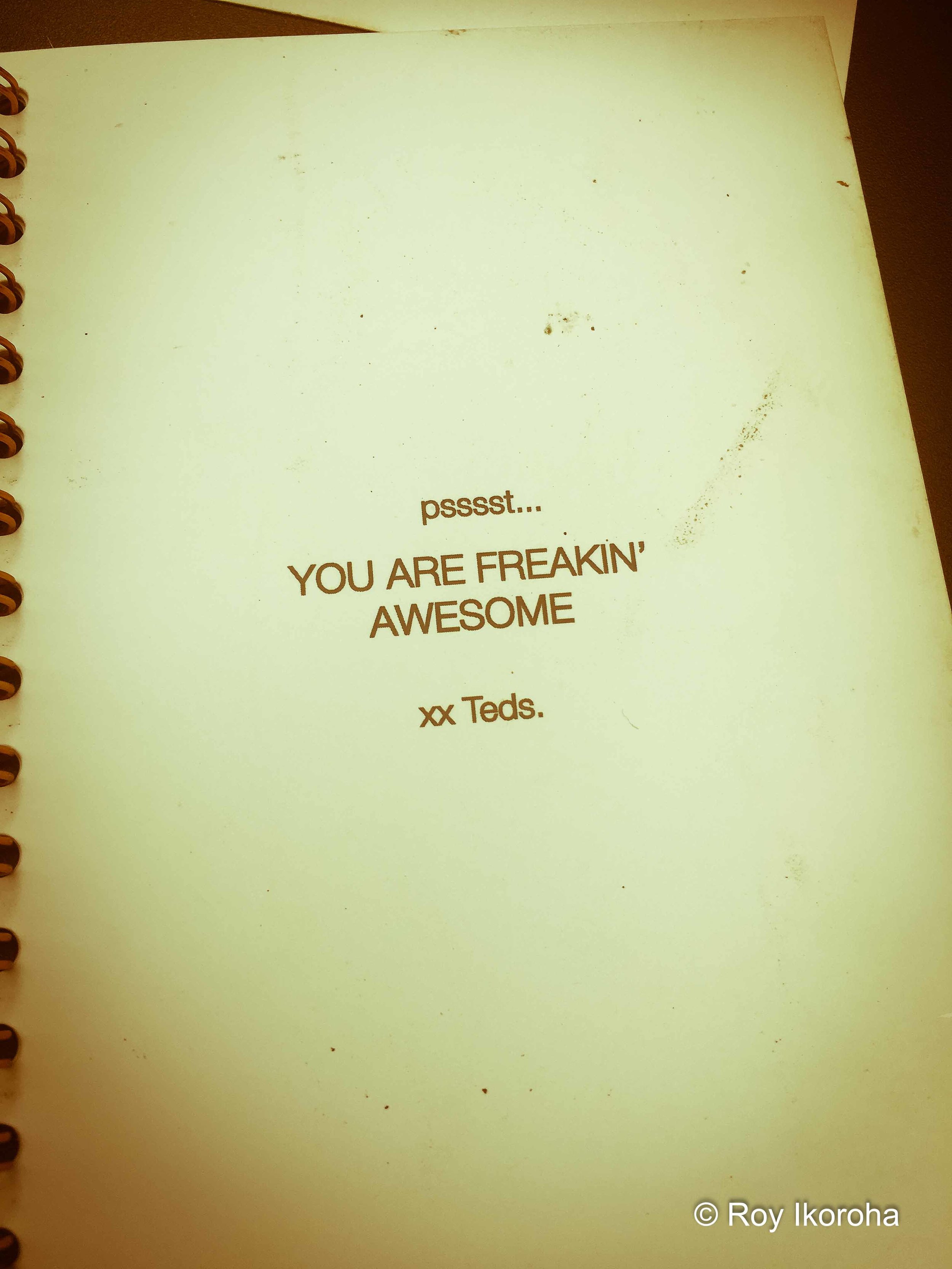 On the front of a Ted’s menu, Amsterdam, Netherlands