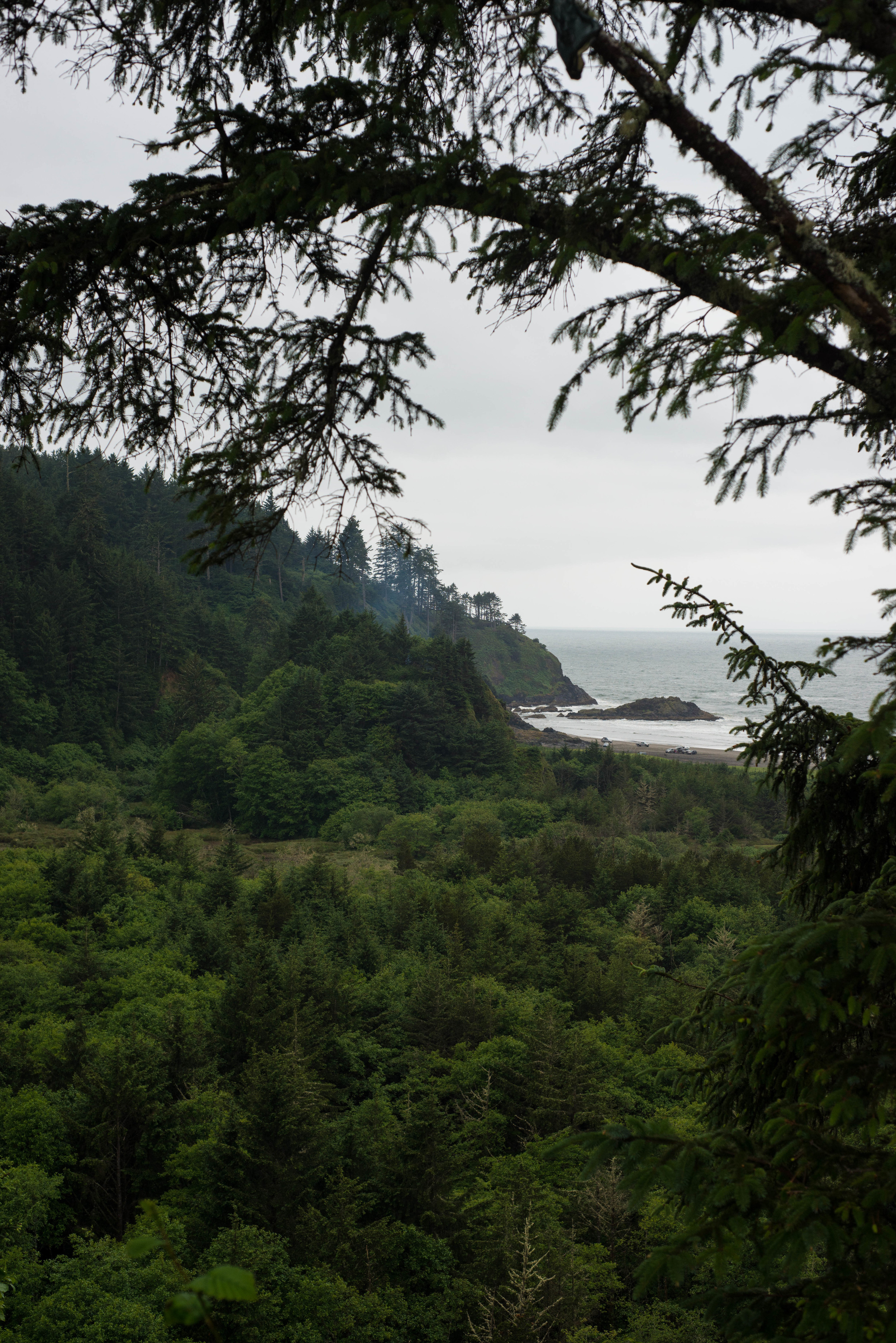 Cape Disappointment | Photograph by: Lauren L Caron © 2016