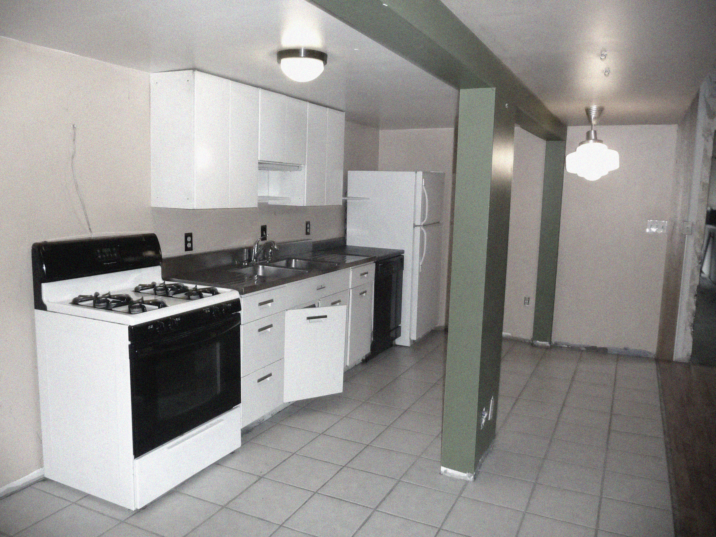 Existing Conditions - 436 Kitchen