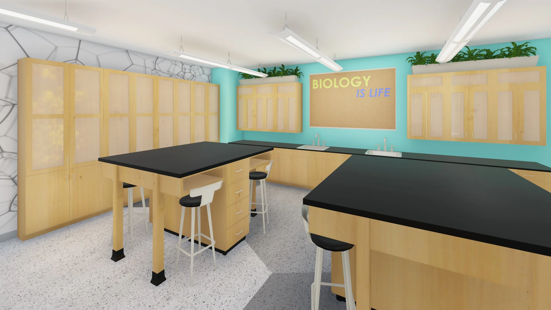 IN PROCESS: Science Lab Upgrades