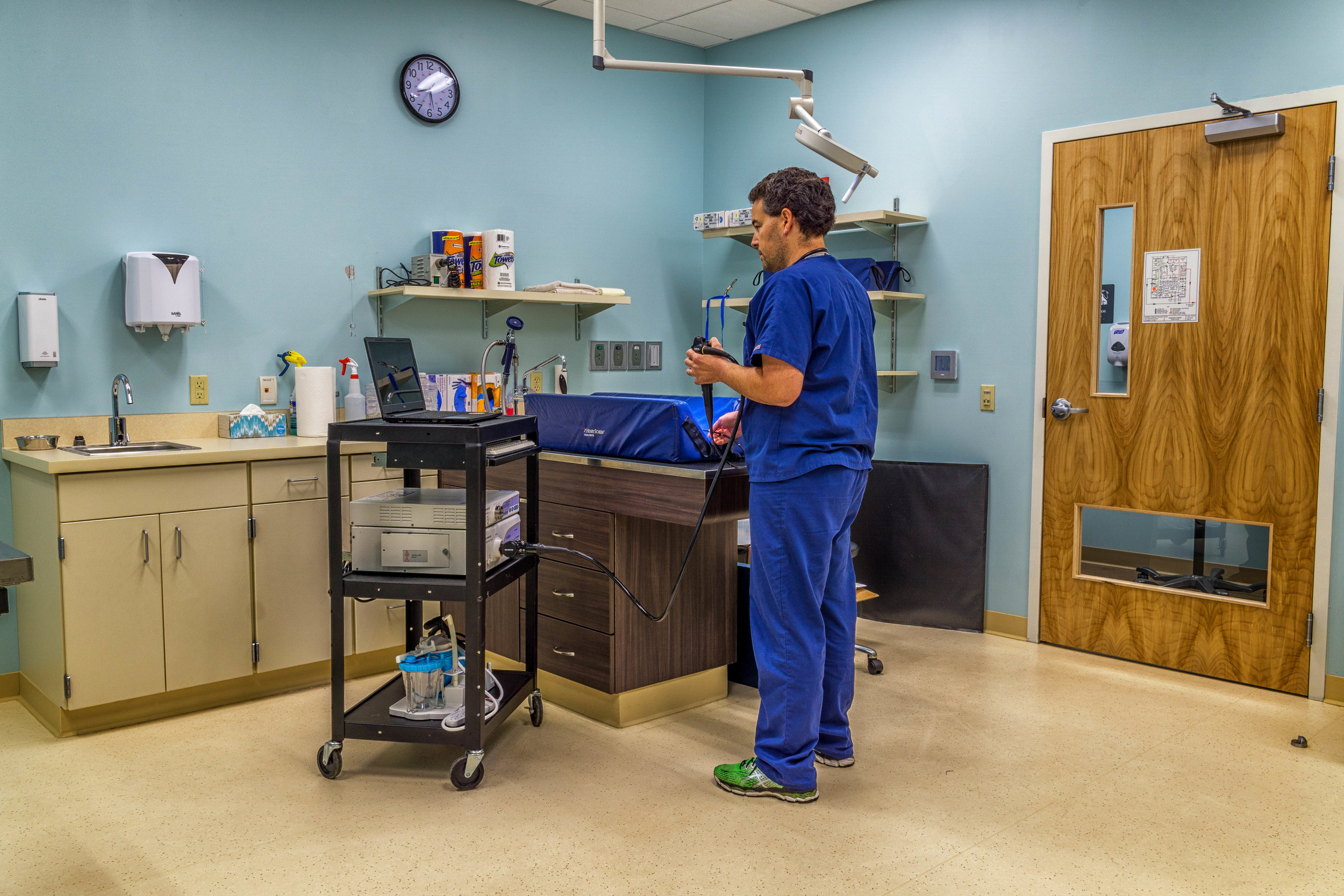 COMPLETED: University Veterinary Specialists