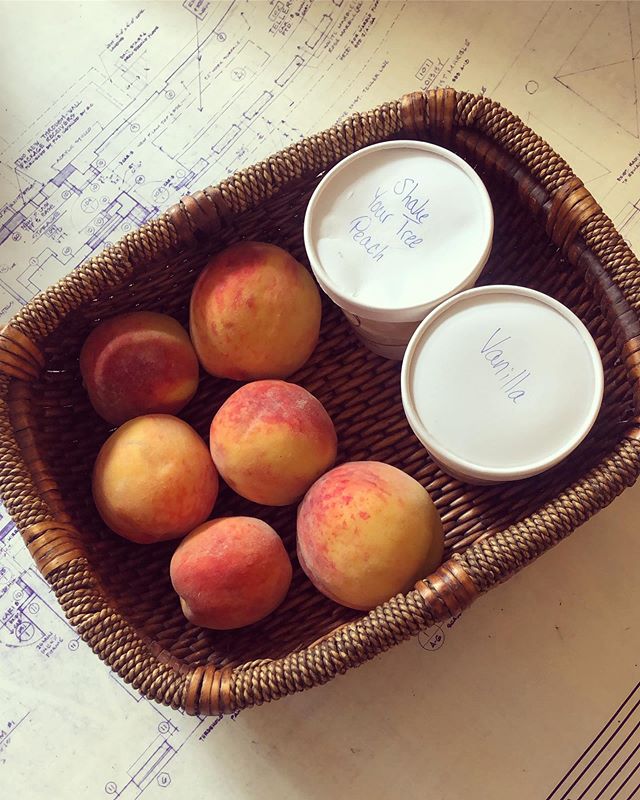 A+ vendor gift presentation / peaches and homemade ice cream for all 🙌 #summertime #lifeofanarchitect