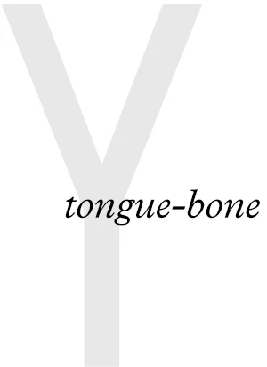 VERSO-terra-lingua-Oct-13-Image-Small.jpg