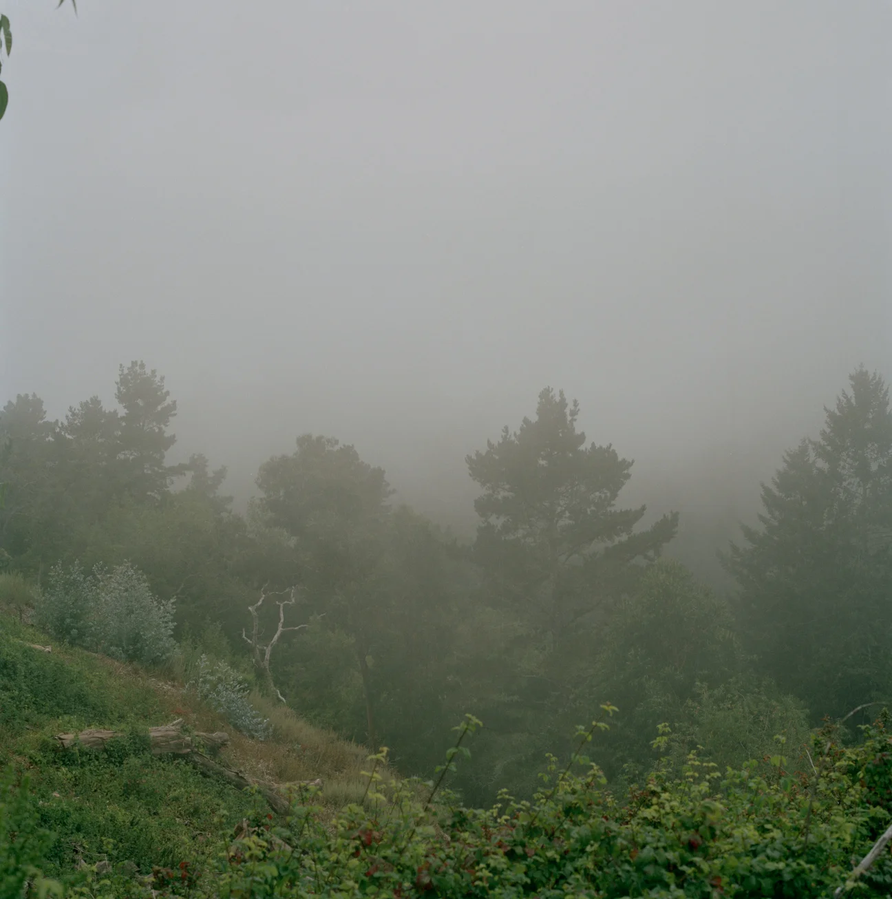 Tedjasukmana_USA_0746.jpg