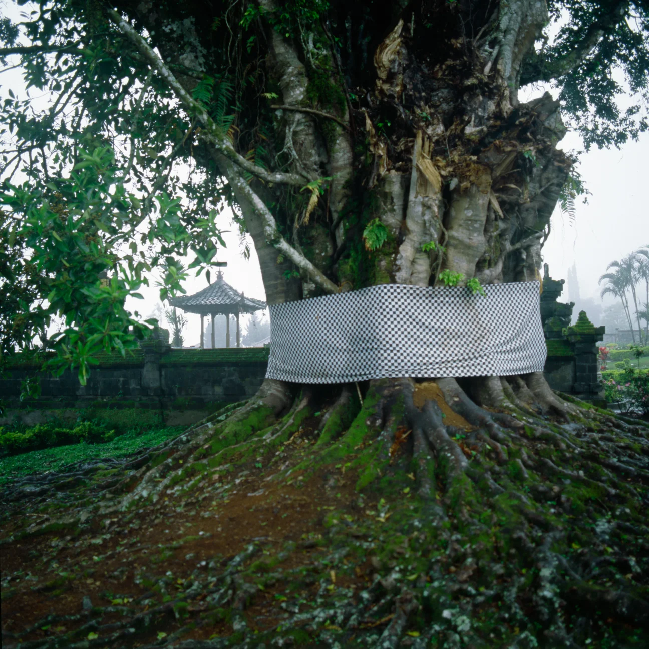 Tedjasukmana_INDO_00146.jpg