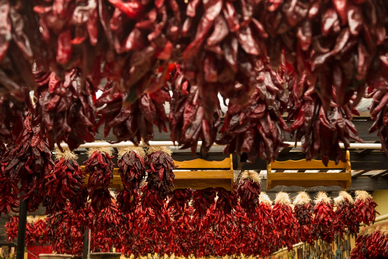 Food Delights of Albuquerque