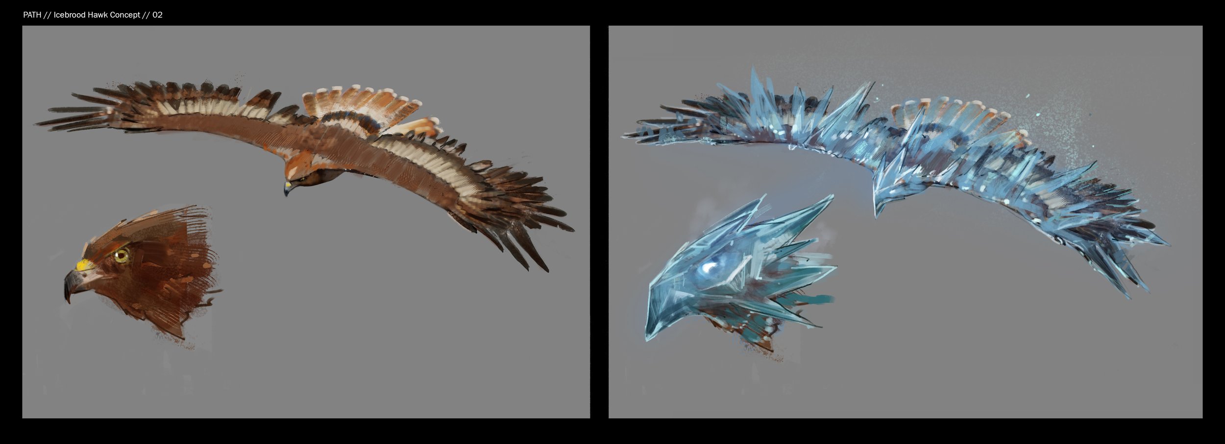 PATH_IcebroodHawk_Concept02.jpg