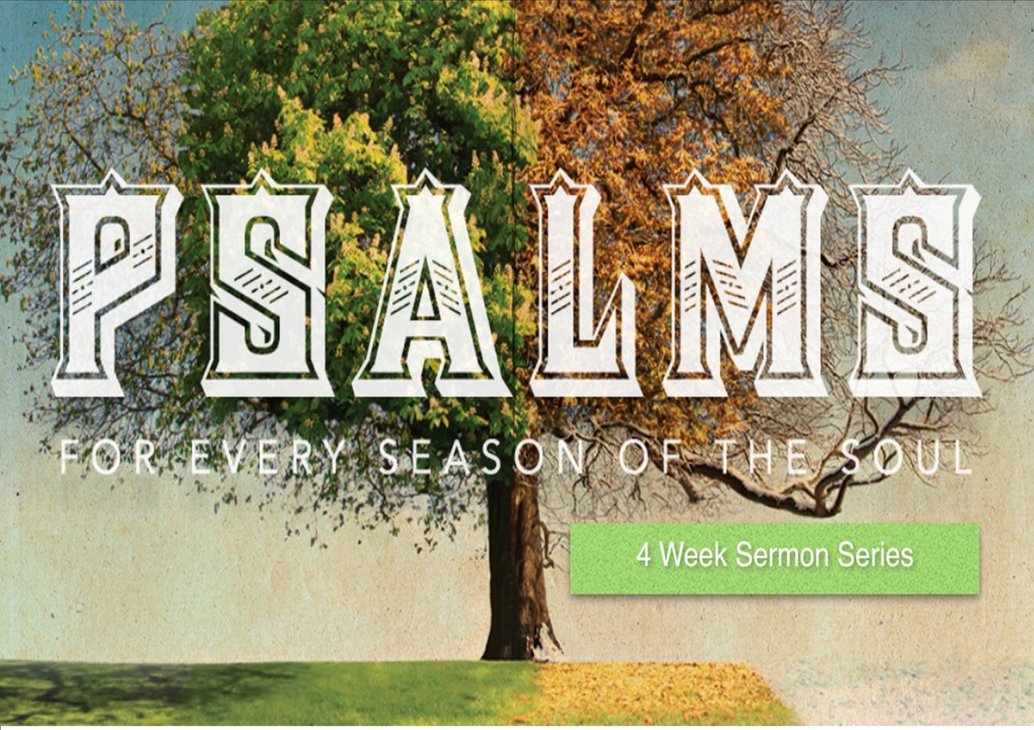 Psalms episode artwork