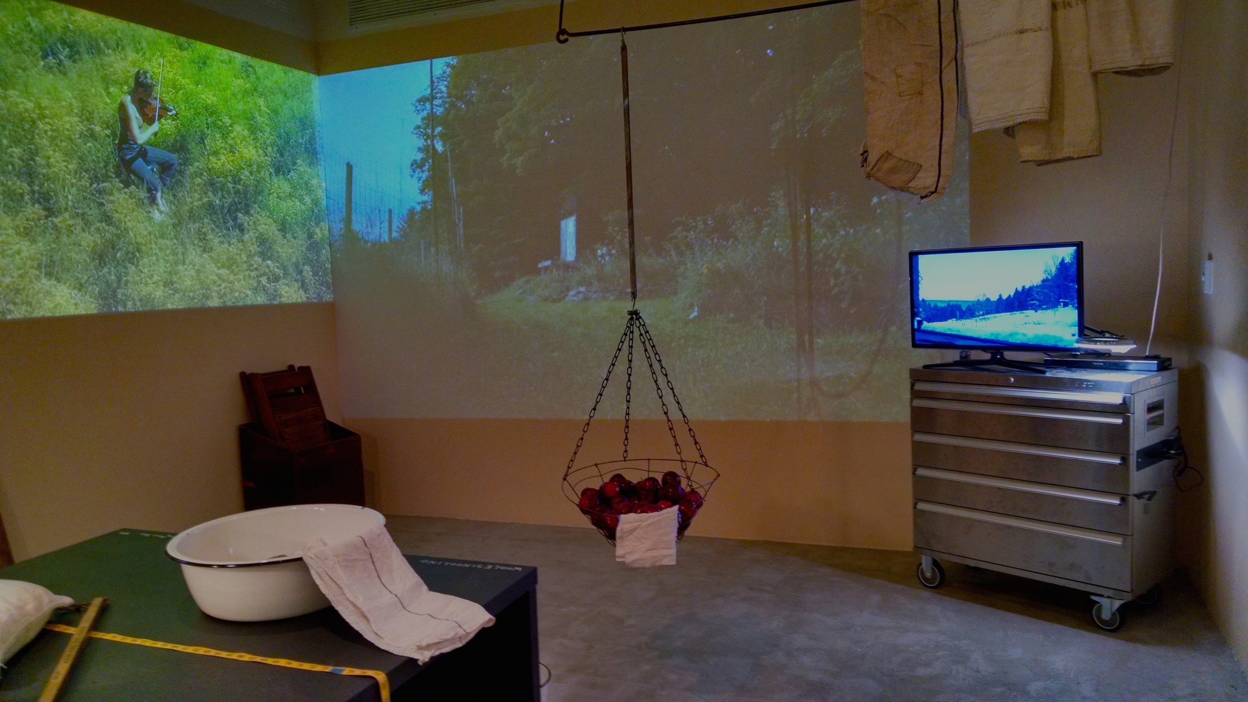 Installation view north.