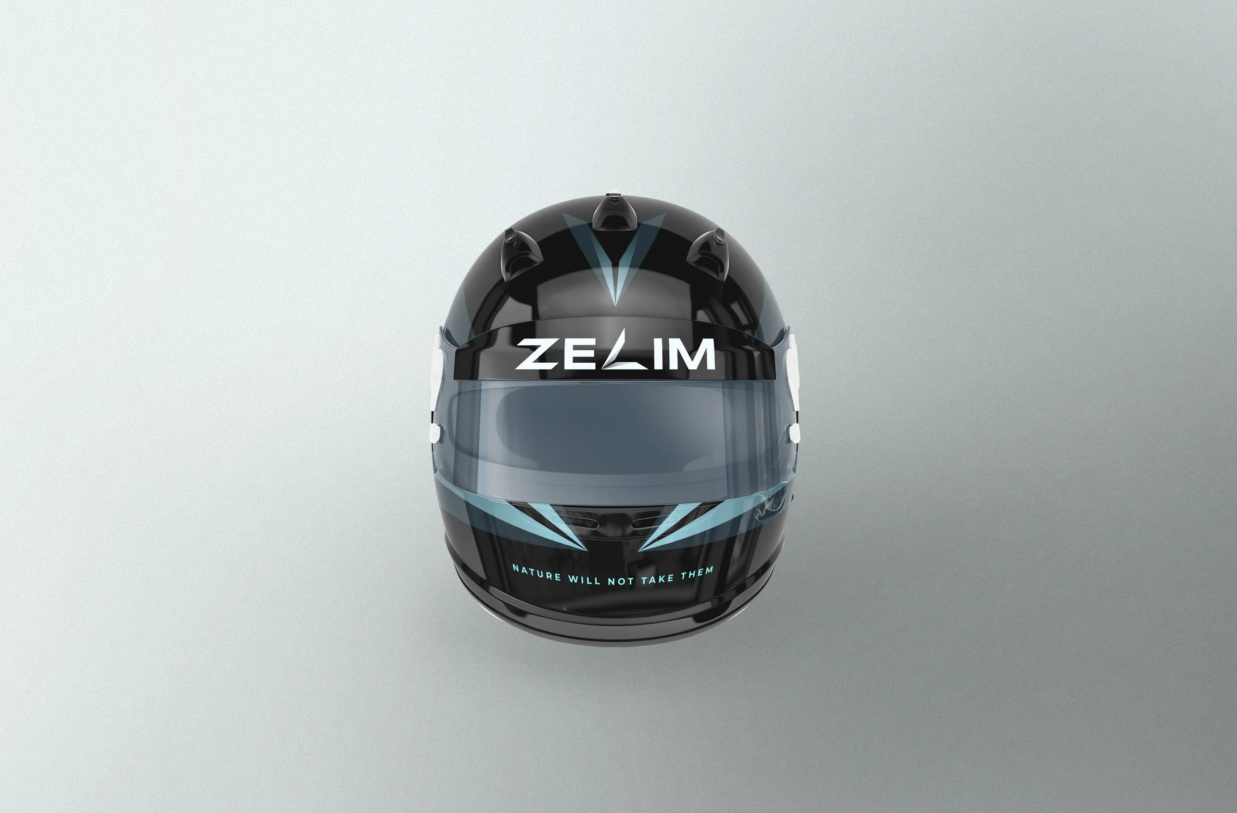 A black motorcycle helmet with blue accents and the word 'ZEAL' on the front, placed on a light-colored surface with a plain background. The helmet features air vents and has the phrase "NATURE WILL NOT TAKE THEM" written at the bottom.
