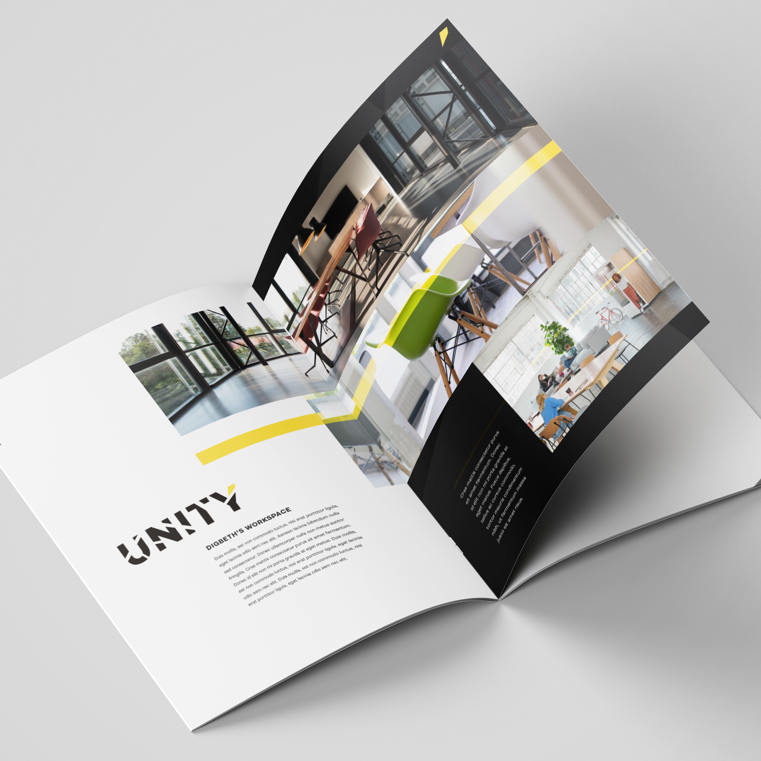 Unity-brochure-mockup-01.png
