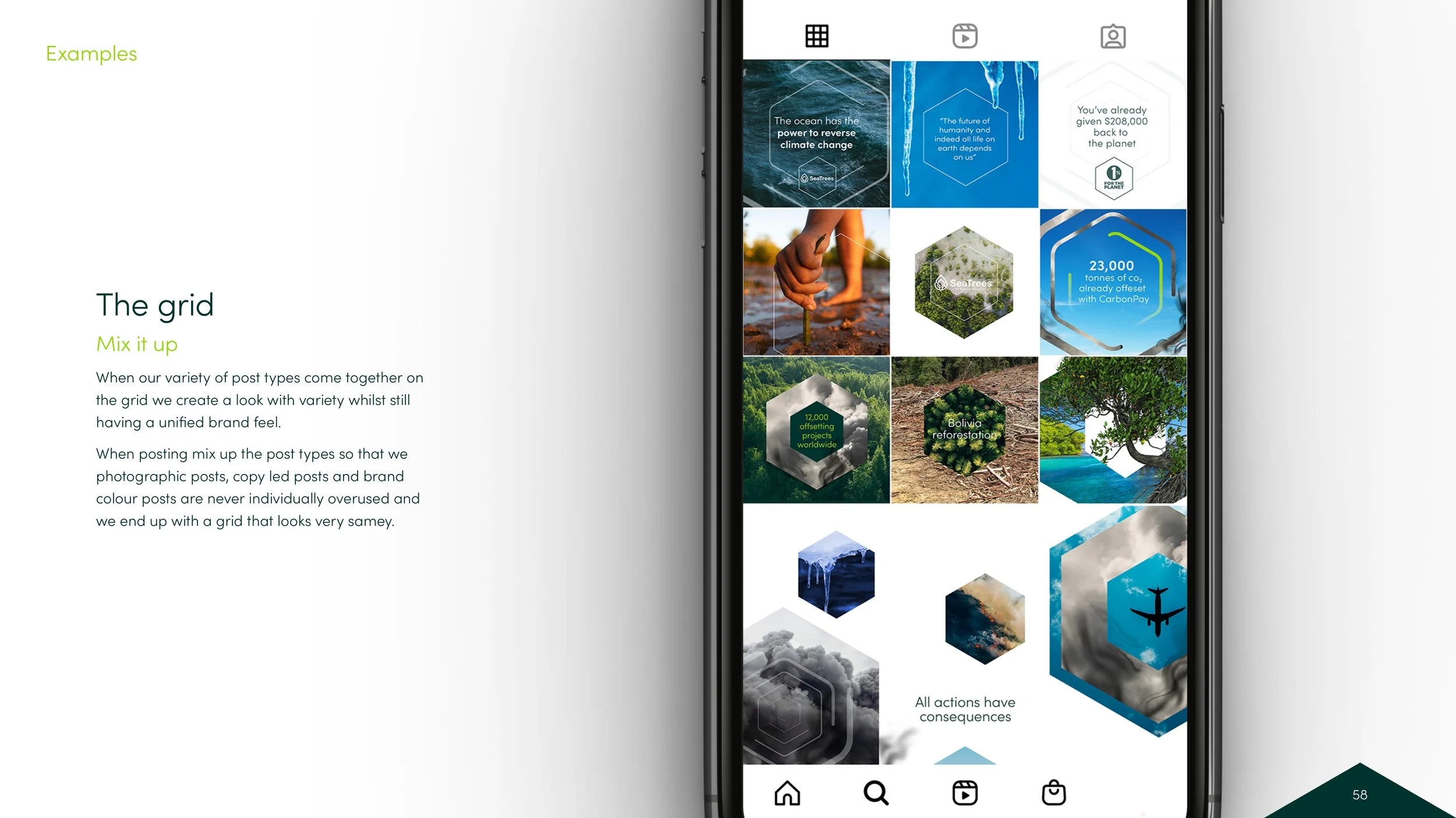 A screenshot of a mobile device displaying a grid of environmental images and facts related to climate change, reforestation, and offsets.