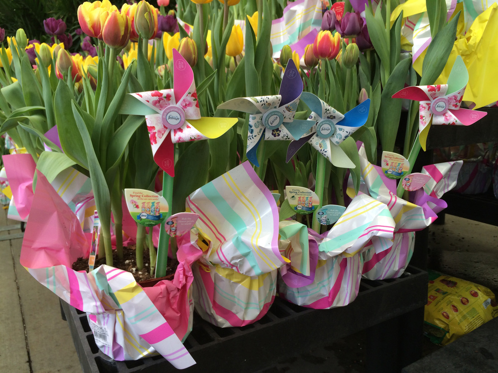 Pinwheels