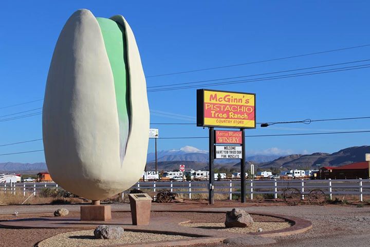  The World's Largest Pistachio is 8 miles south of Tularosa. Photo from McGinn's Pistachio Ranch. 