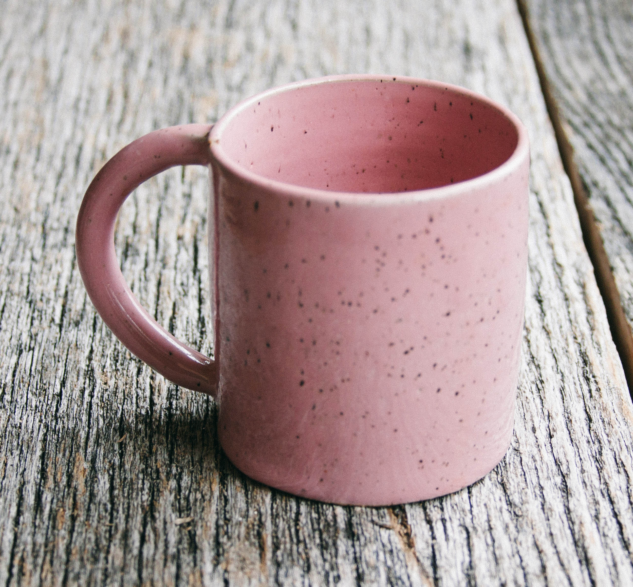 Everyday Speckle Mug