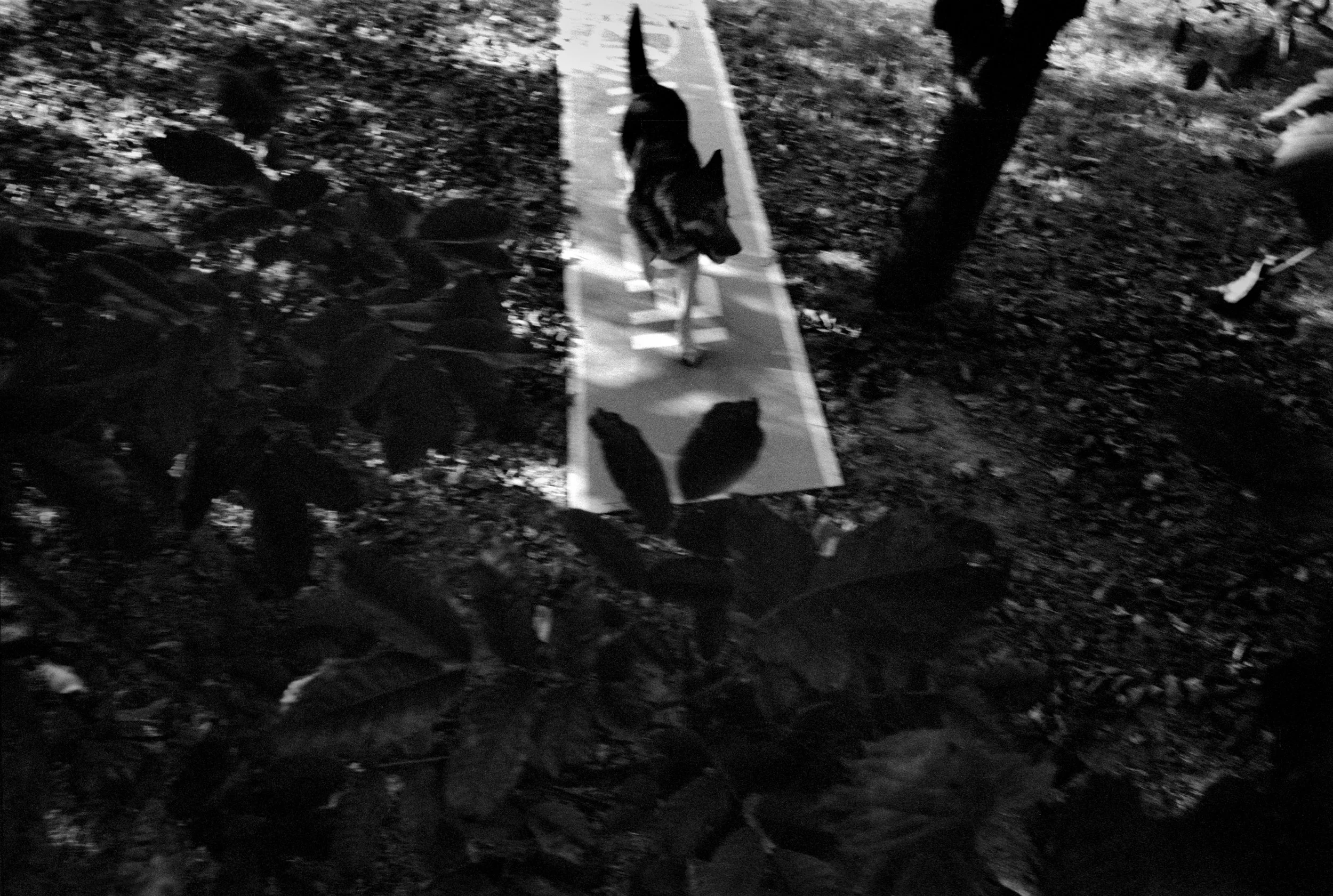 Warsaw, Poland, 2005