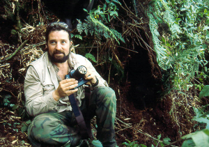 Picture12-300x211.png
