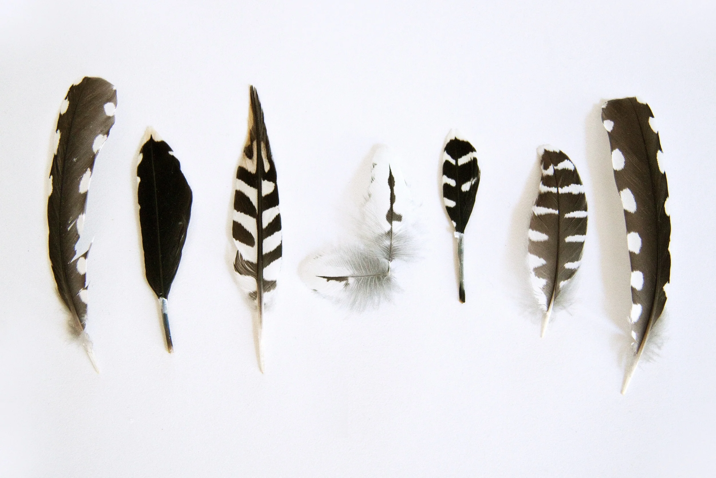 When There’s A Will, There’s A Way