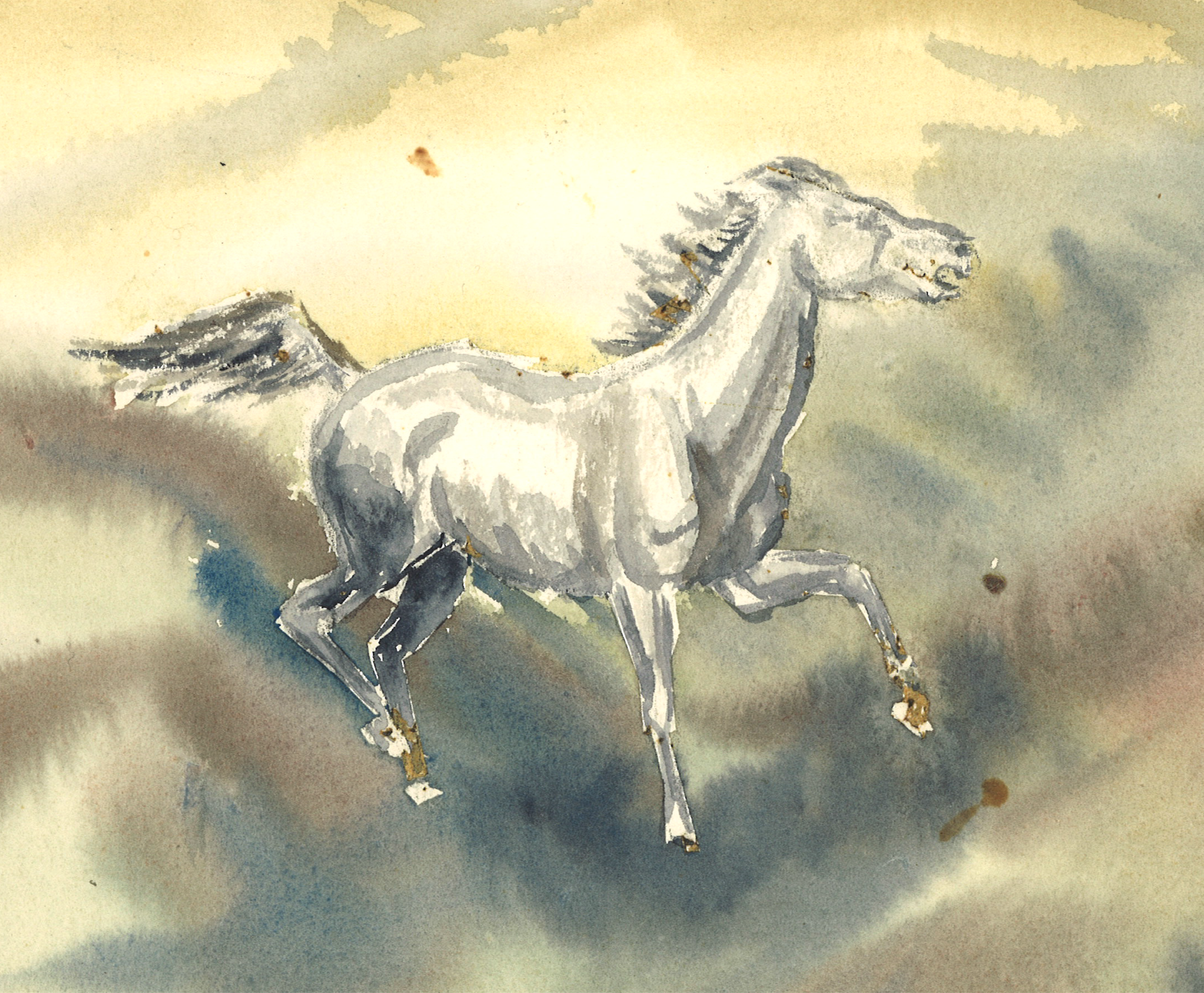 SheHadSomeHorses.png