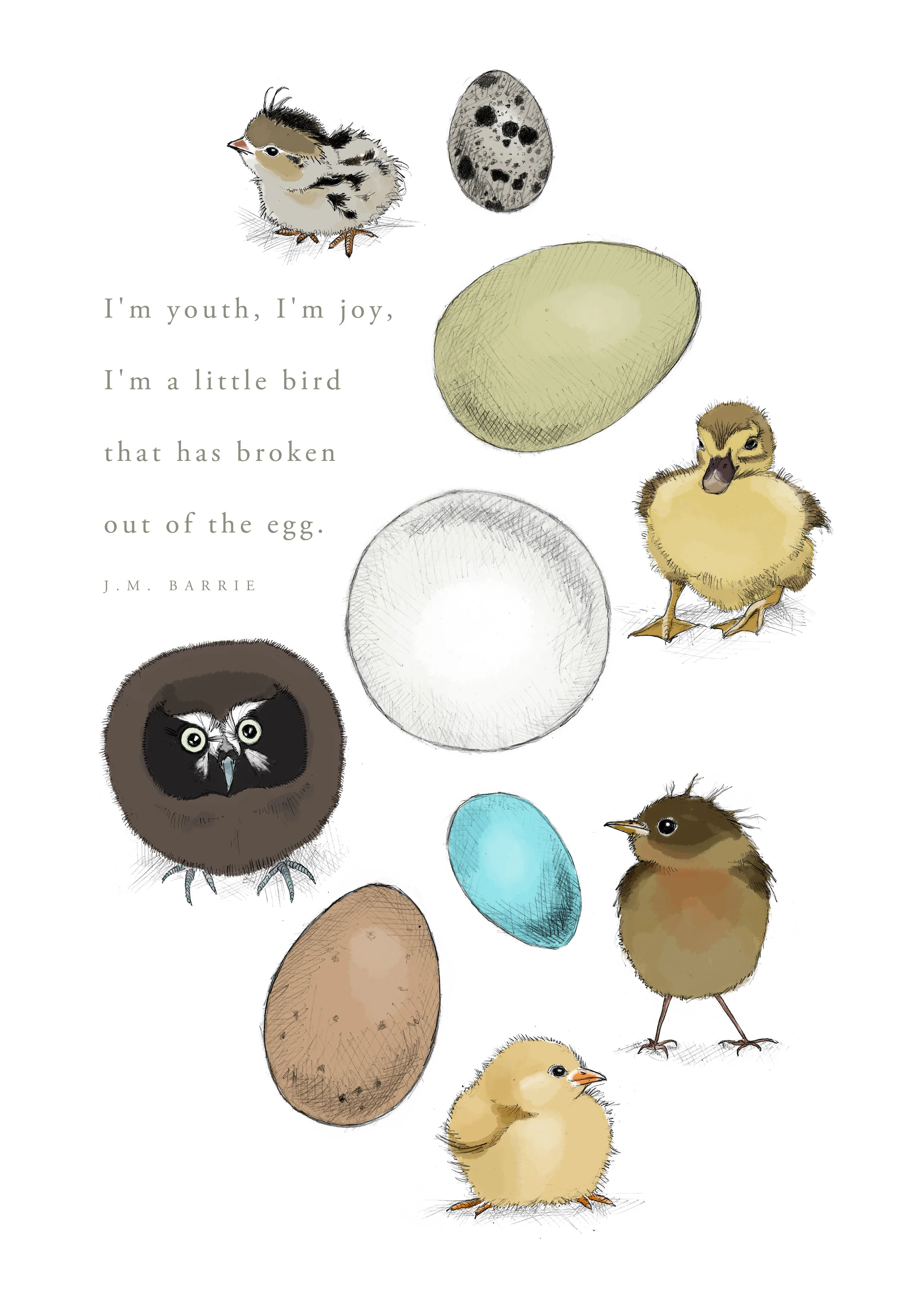 bird_egg_poster.jpg