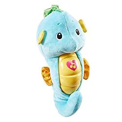 seahorse.jpg
