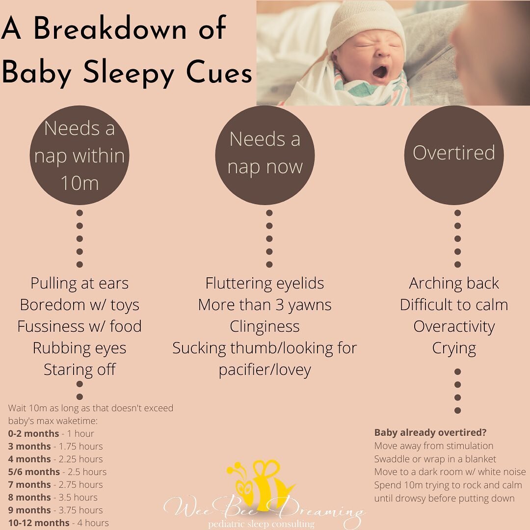 Low Sleep Needs Babies and Toddlers — Wee Bee Dreaming Pediatric