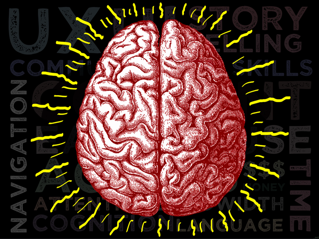 Mooc 2 Brain