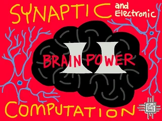 Duygu Kuzum: Brain Computing