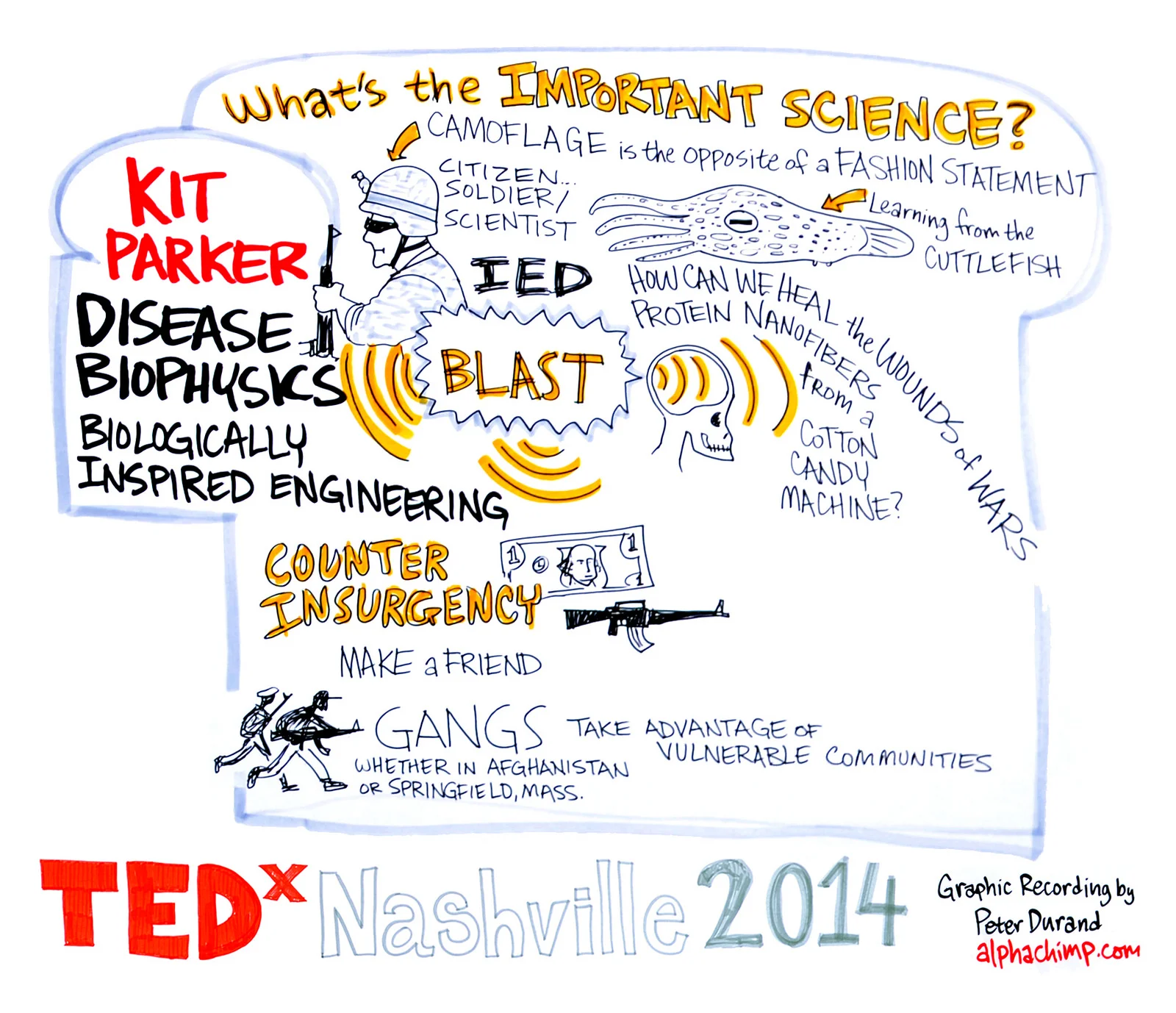 Kit Parker - Biologically inspired engineering