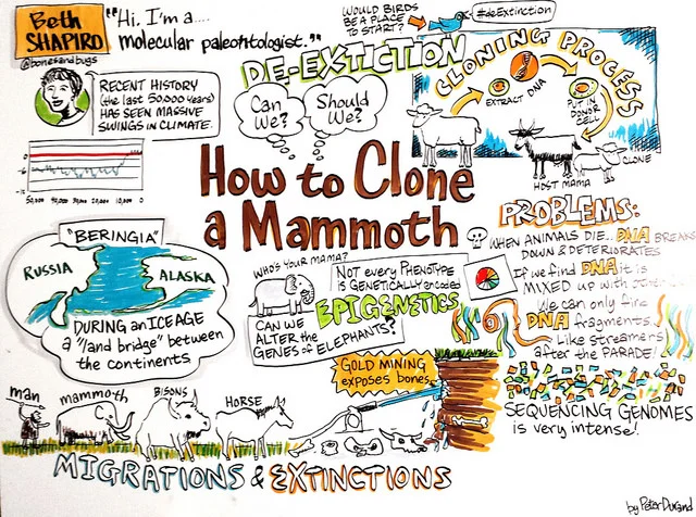 how-to-clone-a-mammoth-scribing.jpg