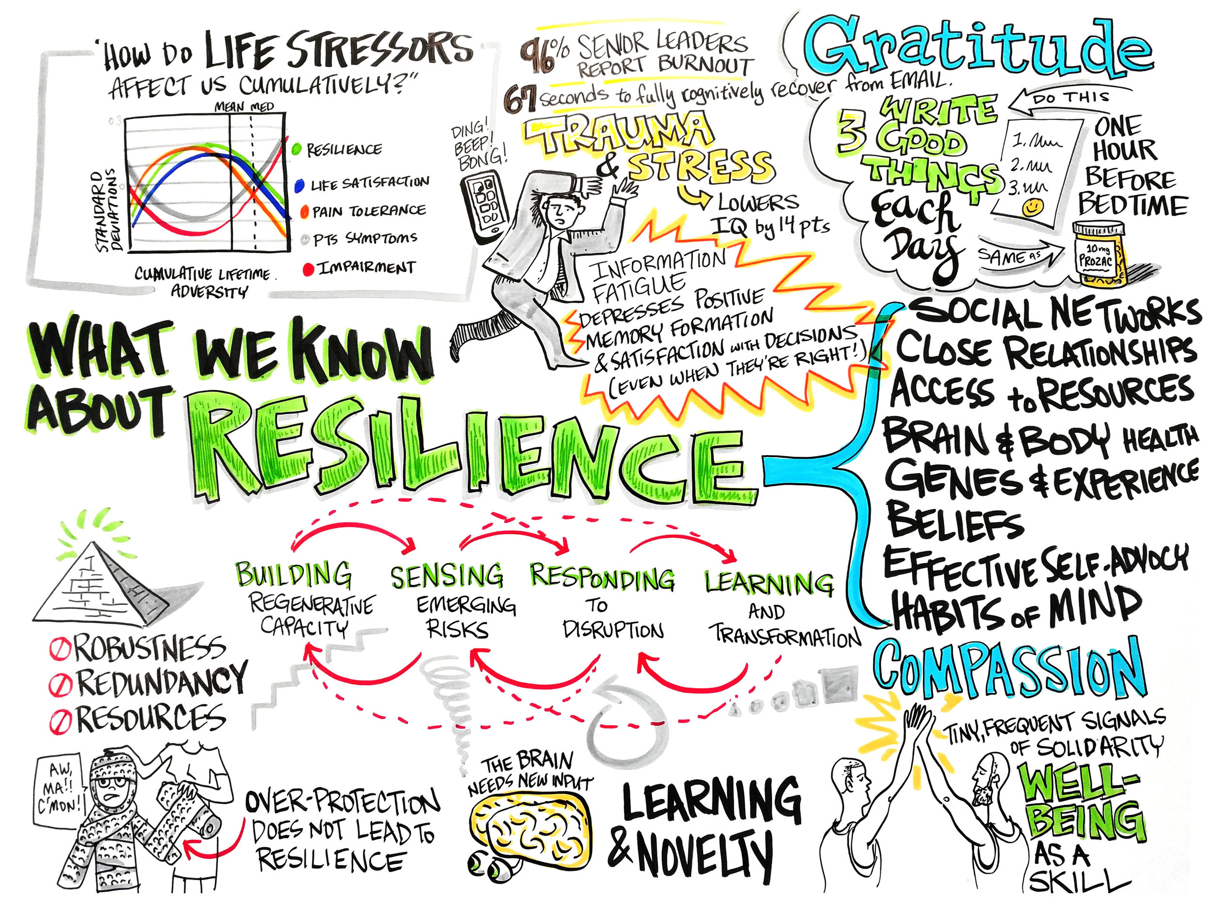 04-What-We-Know-About-Resilience.jpg