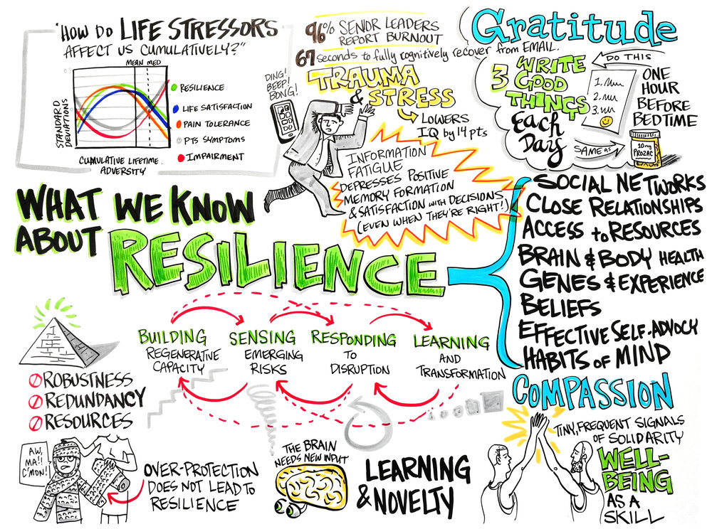 04-What-We-Know-About-Resilience.jpg