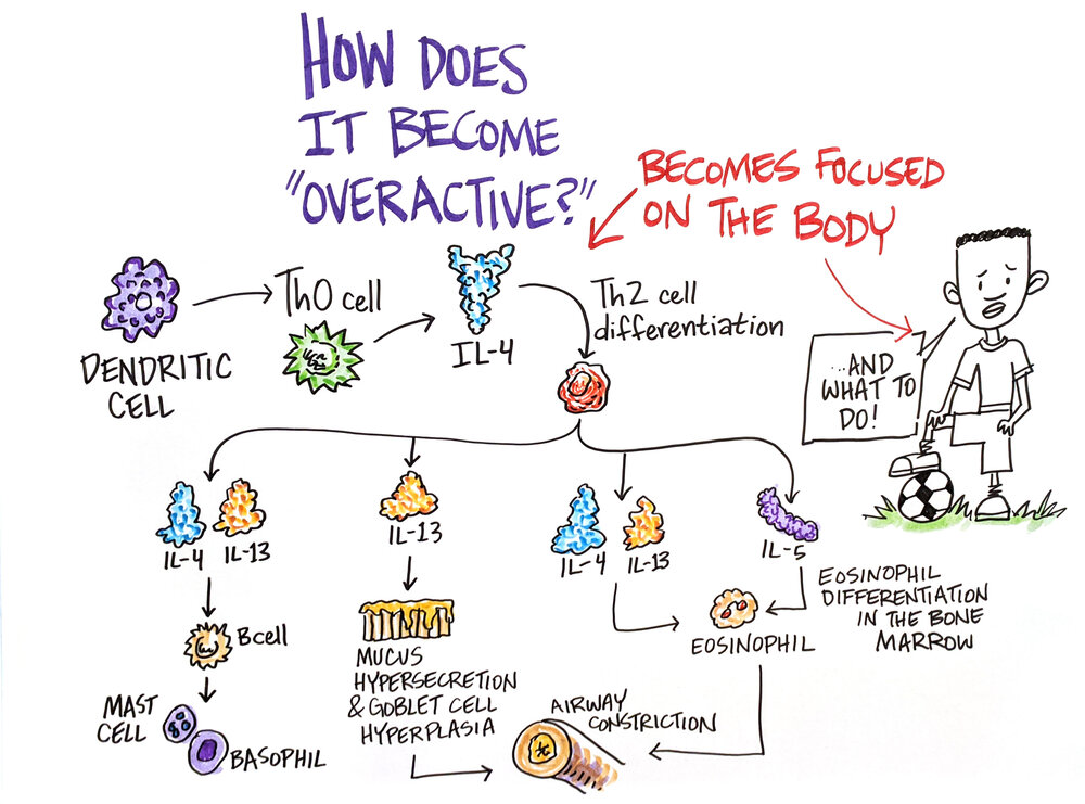 TEDMED2020-Type2-Inflam_Board2_OVERACTIVE.jpg